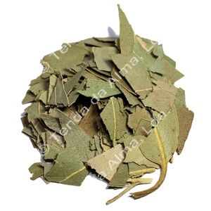 Eucalipto - 100 grs