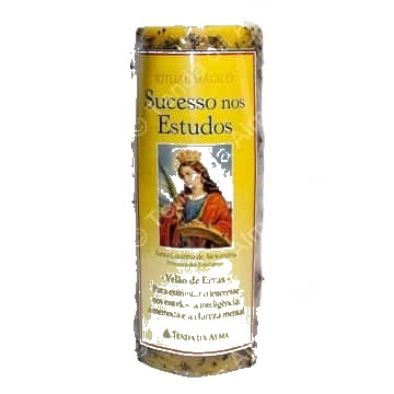 Velão Sucesso nos Estudos